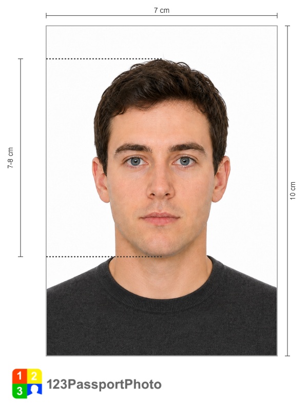 Ireland SPSV Driver Licence / Taxi Licence photo